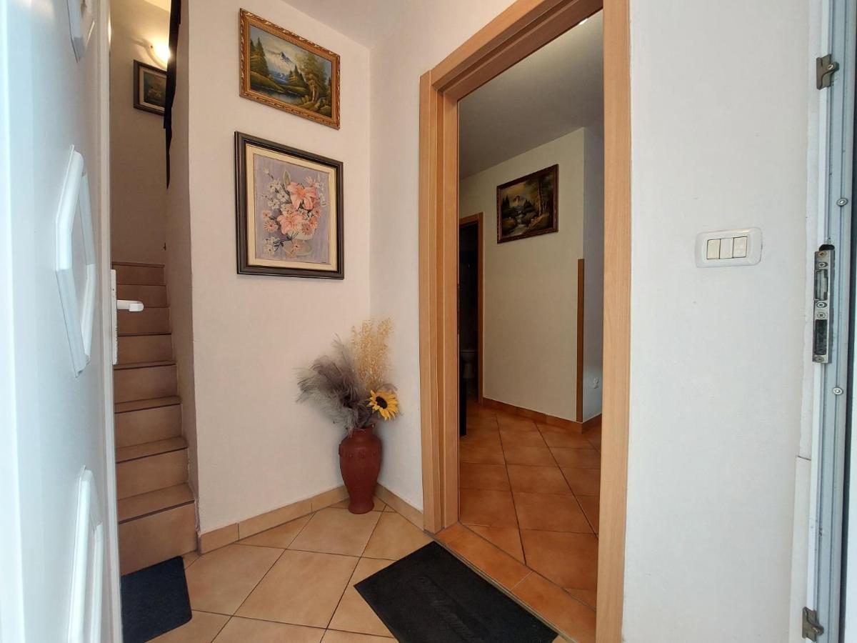 Leona Apartment Novigrad  Exterior photo